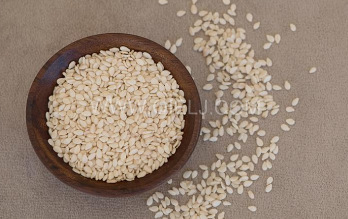 芝麻油壓榨處理設備，企鵝牌液壓榨油機勇于創新生產效率高(圖1)