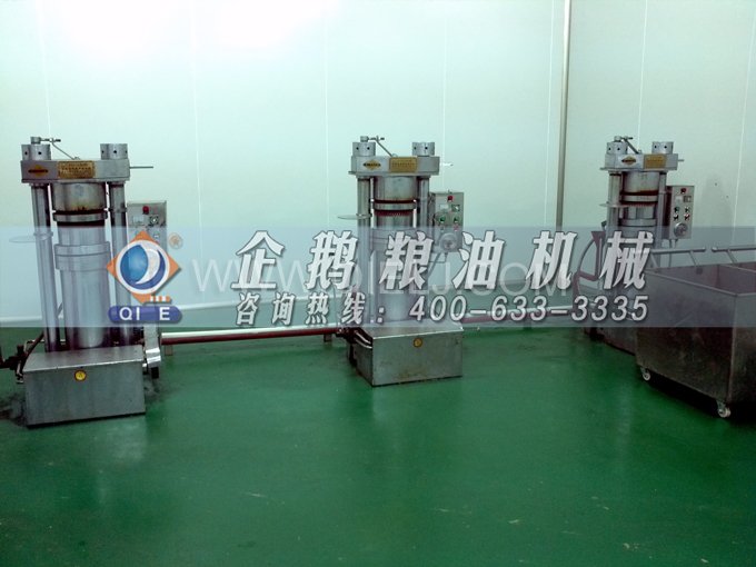芝麻油壓榨處理設備，企鵝牌液壓榨油機勇于創新生產效率高(圖4)